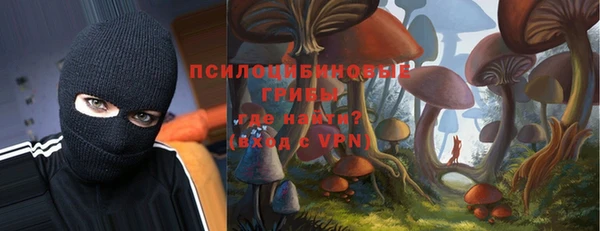 винт Алзамай