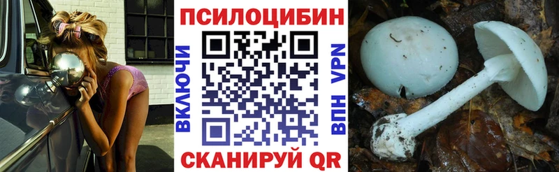 наркошоп  Славск  Галлюциногенные грибы мицелий 